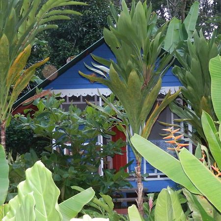 Hotel Casitas Mar Y Luz Puerto Viejo de Talamanca المظهر الخارجي الصورة