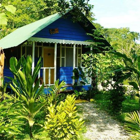 Hotel Casitas Mar Y Luz Puerto Viejo de Talamanca المظهر الخارجي الصورة