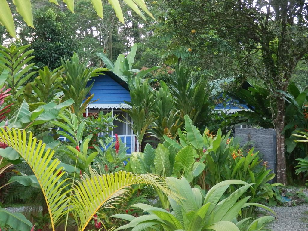 Hotel Casitas Mar Y Luz Puerto Viejo de Talamanca المظهر الخارجي الصورة