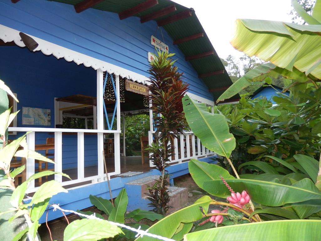 Hotel Casitas Mar Y Luz Puerto Viejo de Talamanca المظهر الخارجي الصورة