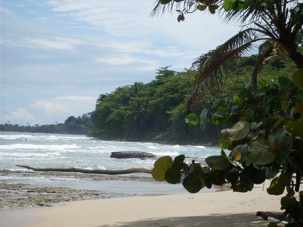 Hotel Casitas Mar Y Luz Puerto Viejo de Talamanca المظهر الخارجي الصورة