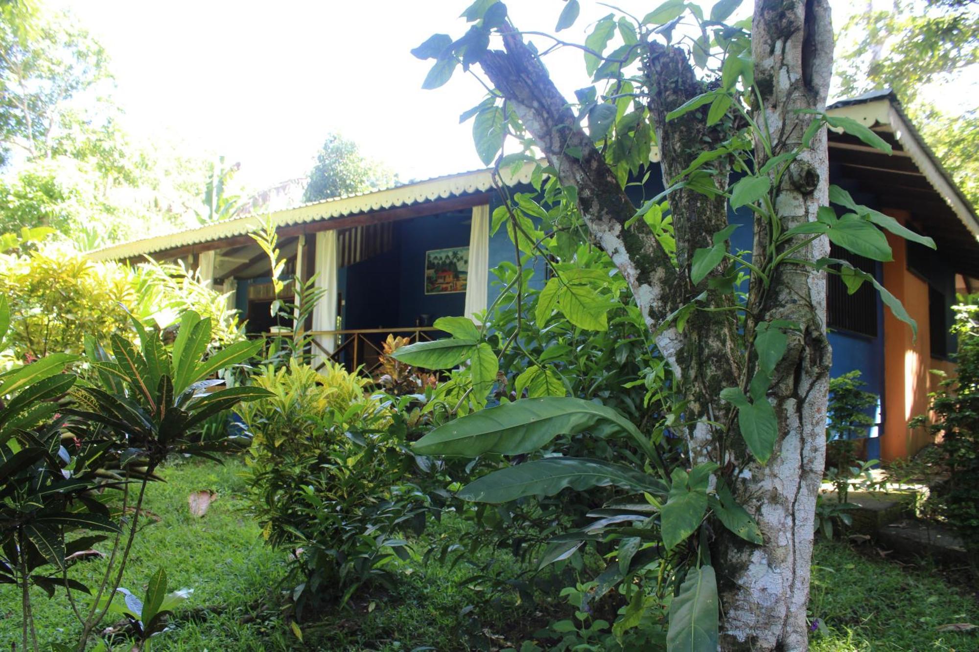 Hotel Casitas Mar Y Luz Puerto Viejo de Talamanca المظهر الخارجي الصورة